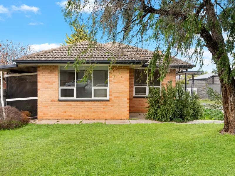 Development Opportunity In Windsor Gardens on 730m2 Approx