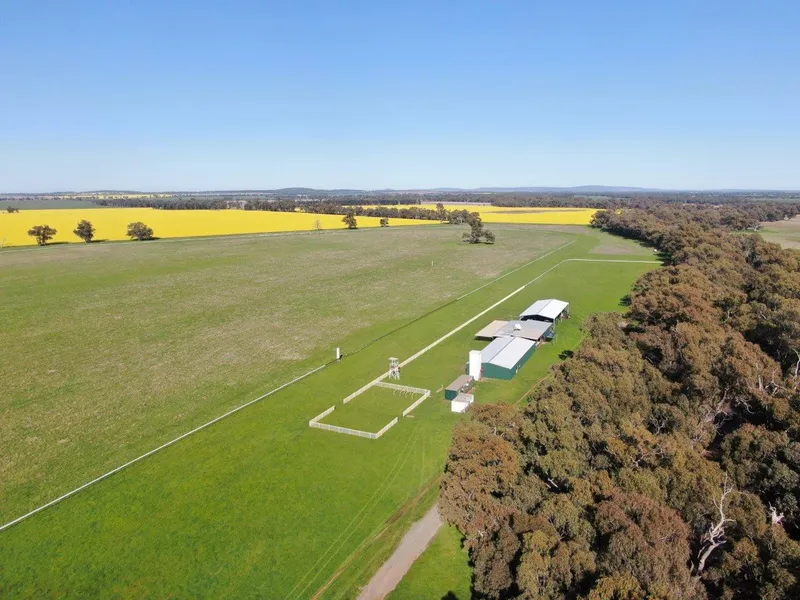 Home Of The Ardlethan Picnic Races