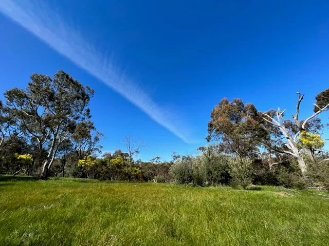 Lifestyle Retreat & Camping Grounds