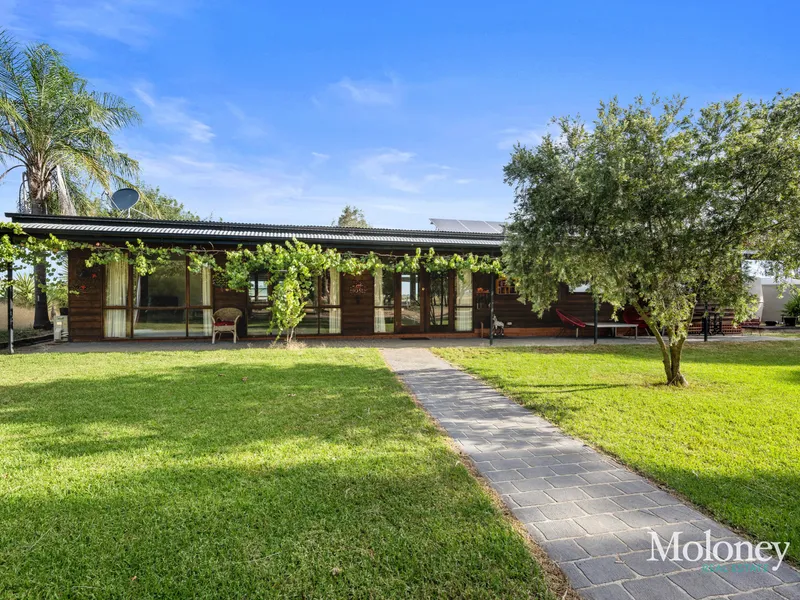 Lifestyle opportunity