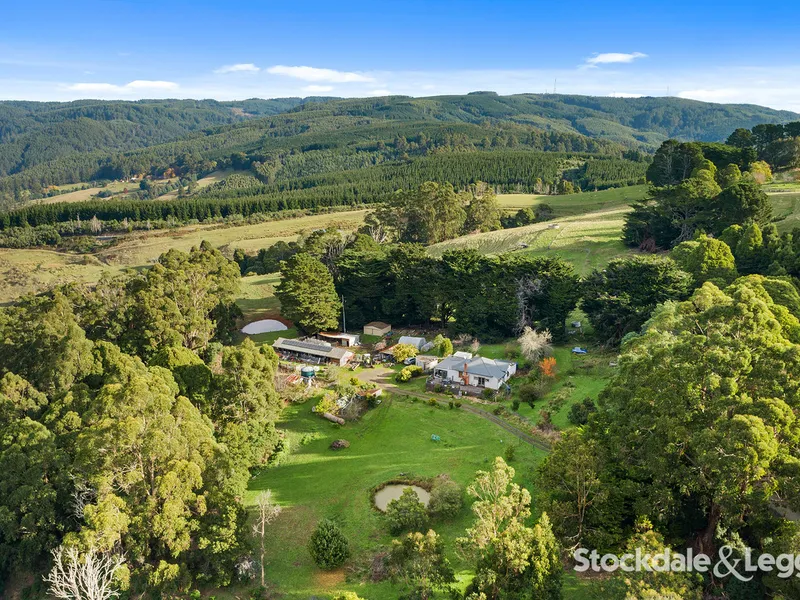 - Amazing Rural Lifestyle Opportunity -