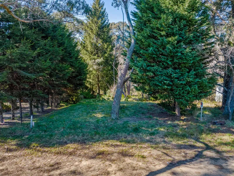 Build your Mountains Retreat!