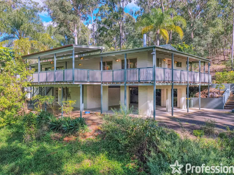 Stunning family home amongst the gum trees