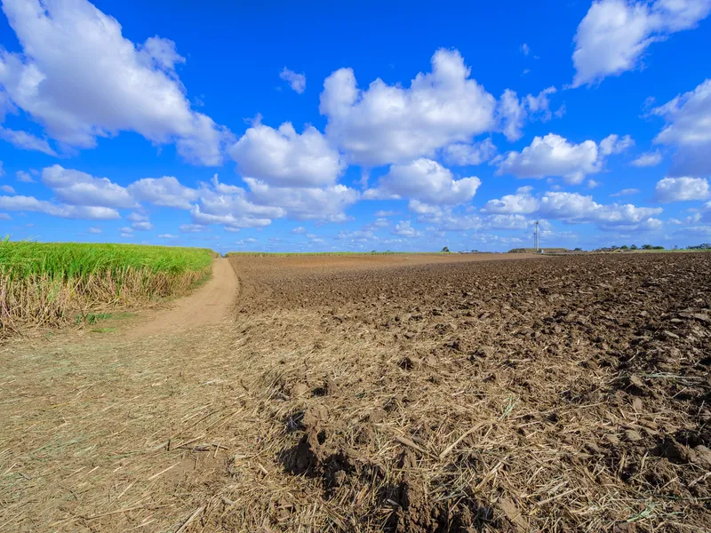 136 ACRE FARM IN AVOCA | CROPPING & GRAZING