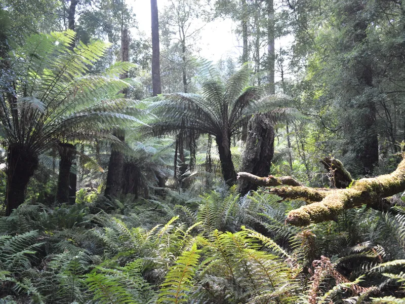 Coastal Holding with River Frontage