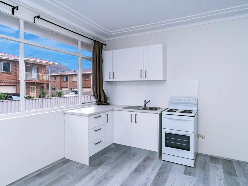 Renovated Two Bedroom Apartment with Natural Light