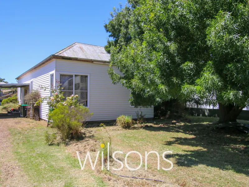 RENOVATOR IN MORTLAKE