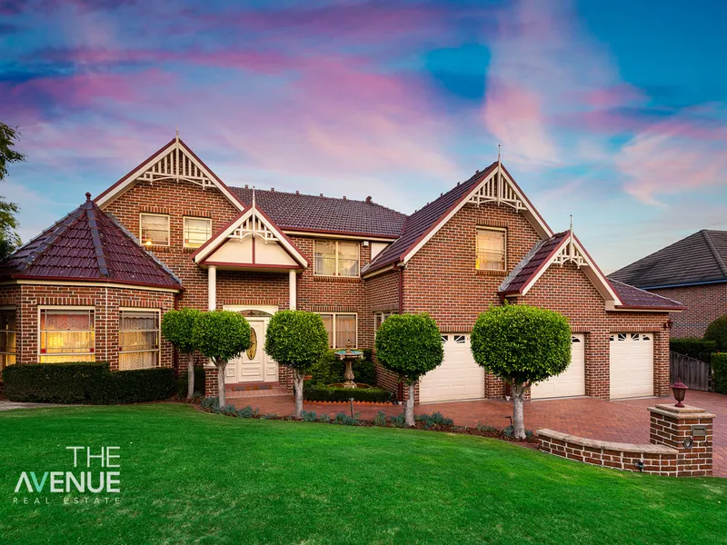 Embrace Your Opportunity 