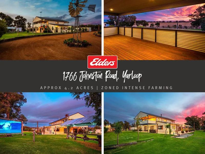 THE BEST OF BOTH WORLDS!