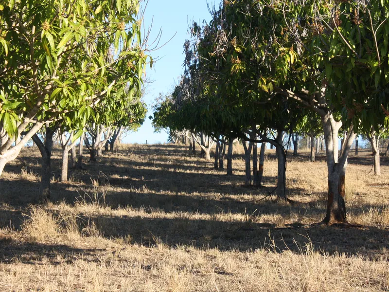 Acreage with Income