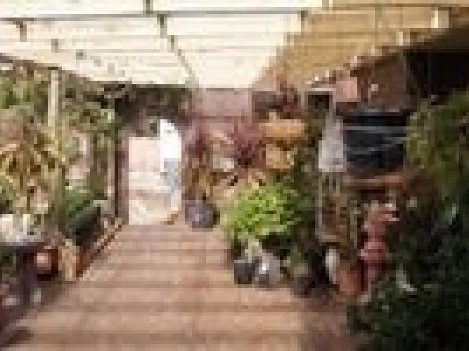 RURAL PROPERTY Close to Town with Subdivision Potential