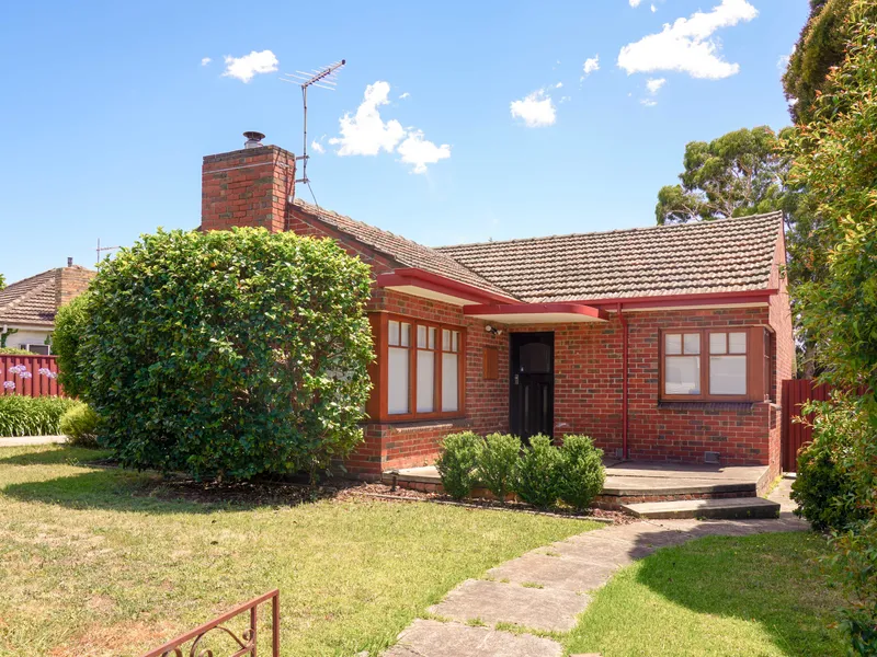 Charismatic and Spacious Entertainer