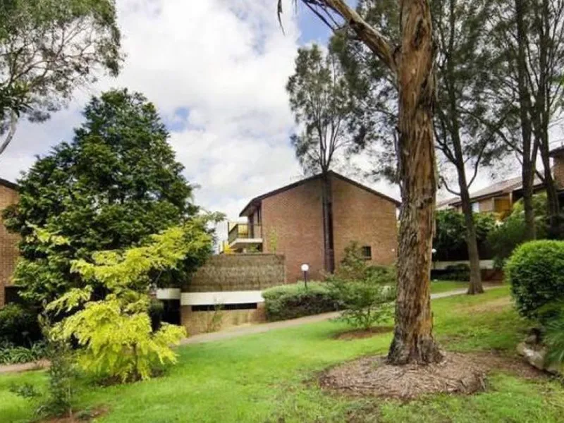 BRAND NEW PAINT AND CARPET