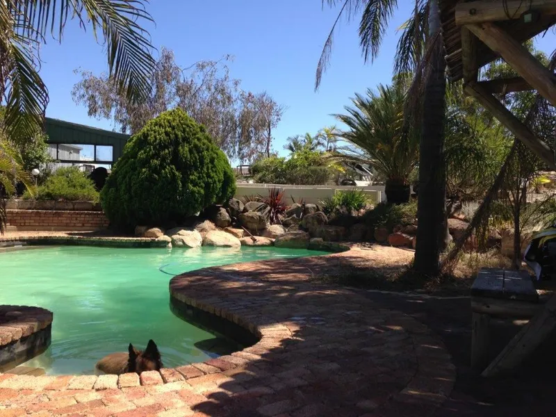 Wanneroo area Tropical Paradise