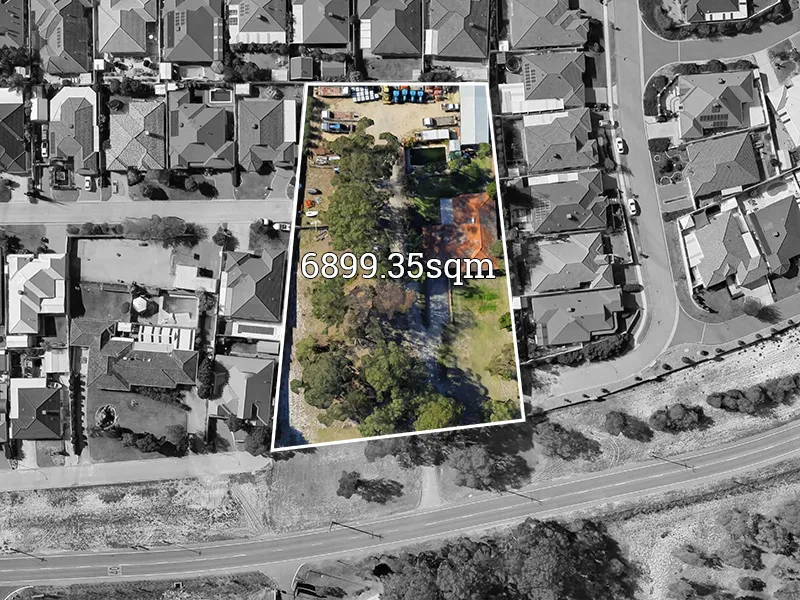 The Opportunity of a Lifetime!