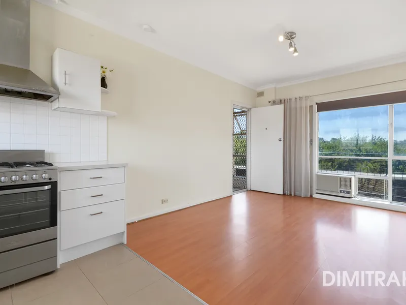 Updated, Bright & Spacious 1 Bedroom Apartment  