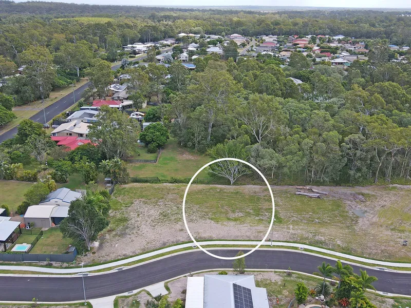 Watch As Your Dreams Unfold