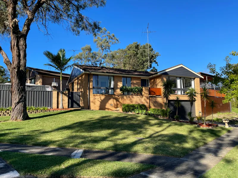 Entertainers delight