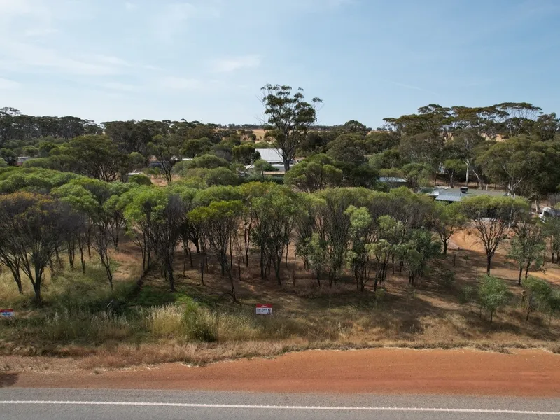 1/2 acre block, Mt Hardey - York