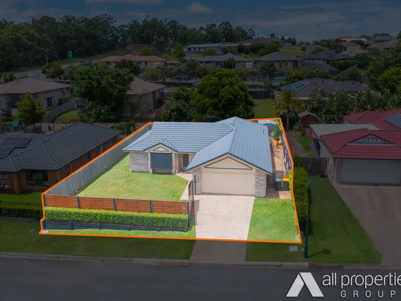 Transparent offering system | Available to inspect now!