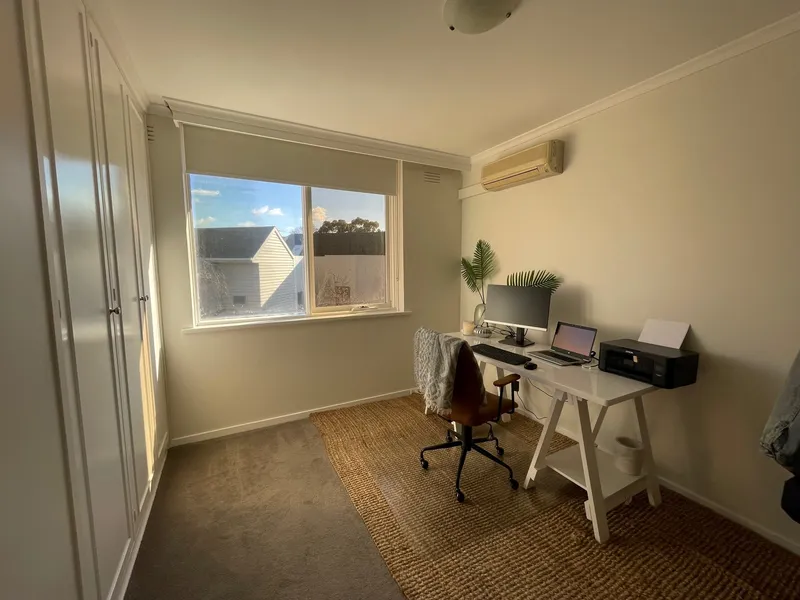 Spacious and Sunlit Apartment