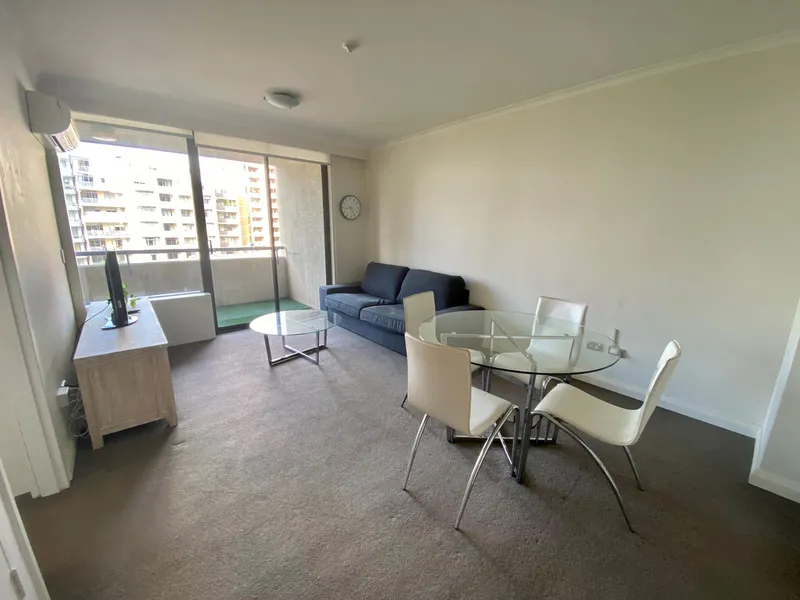 Renovated One Bedroom Apartment - Fully Furnished