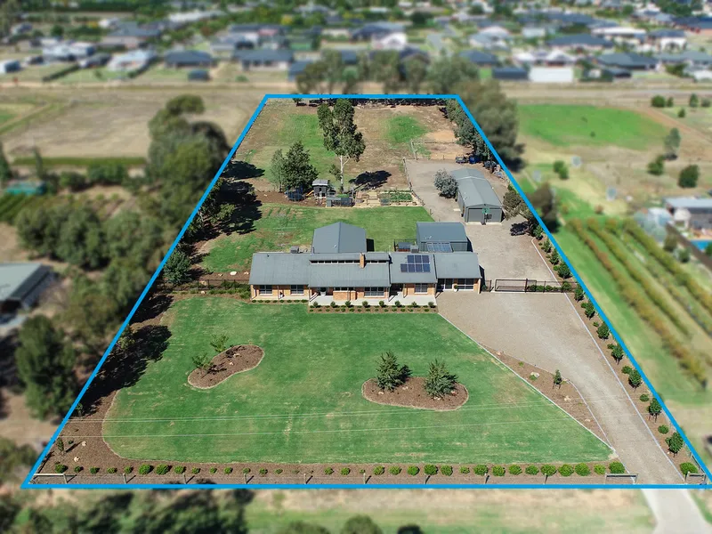 Lifestyle Property...2.5acres / Shedding & Town Water !