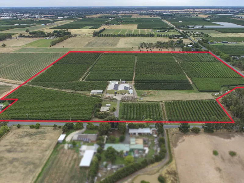 Large Cold Storage Facility & Orchard