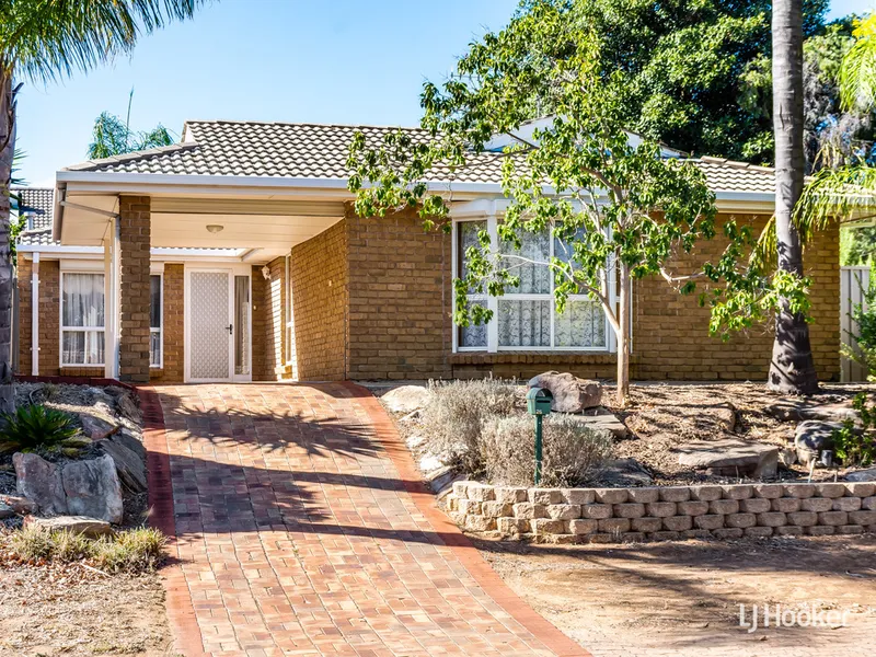 YES !!! It’s as good as it looks