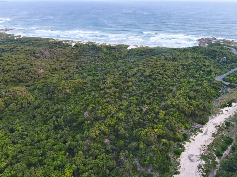 Ocean Frontage
