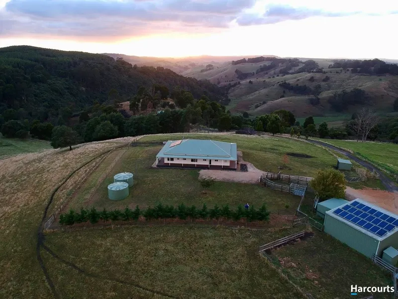 Private Paradise on 99 Acres