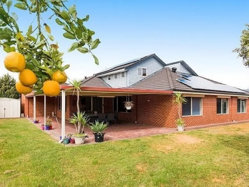 Head And Shoulders Above The Competition...