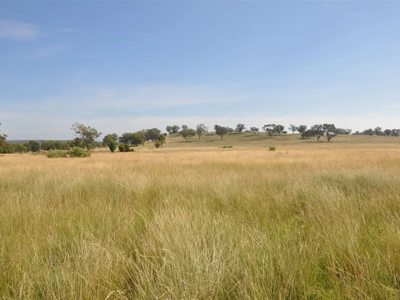 Opportunity to landbank grazing country close to town