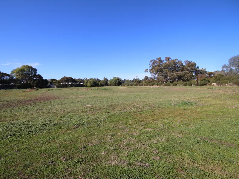 Generous Allotments in Central Bordertown