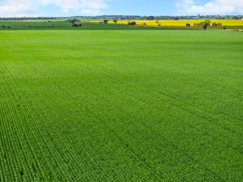 Prized Agricultural Land