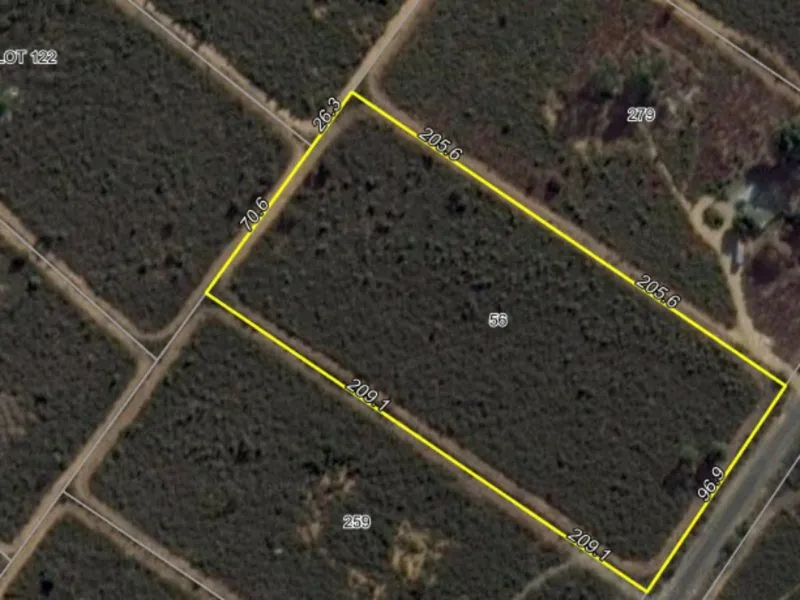 Wow 5 Acres for How Much!!