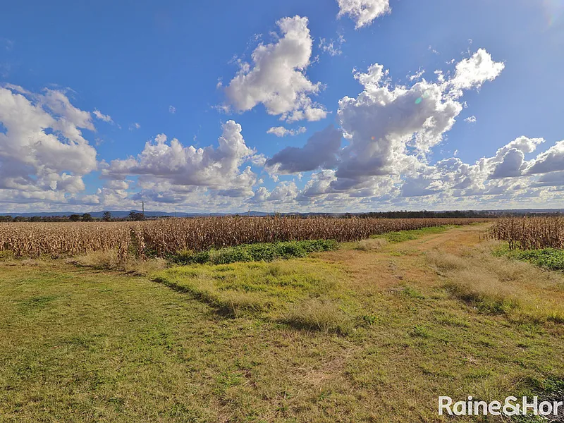 High Quality Mixed farming 337 acre property.