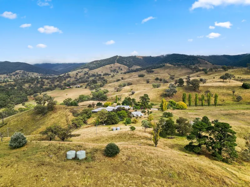 High Rainfall Grazing Property