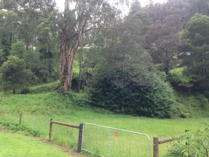 Rare Opportunity - Walhalla Home Site!