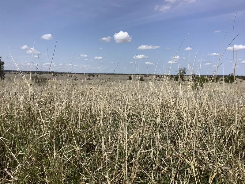 Freehold Grazing Opportunity