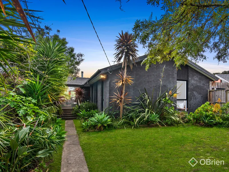 Tranquil Oasis in the Heart of Mornington