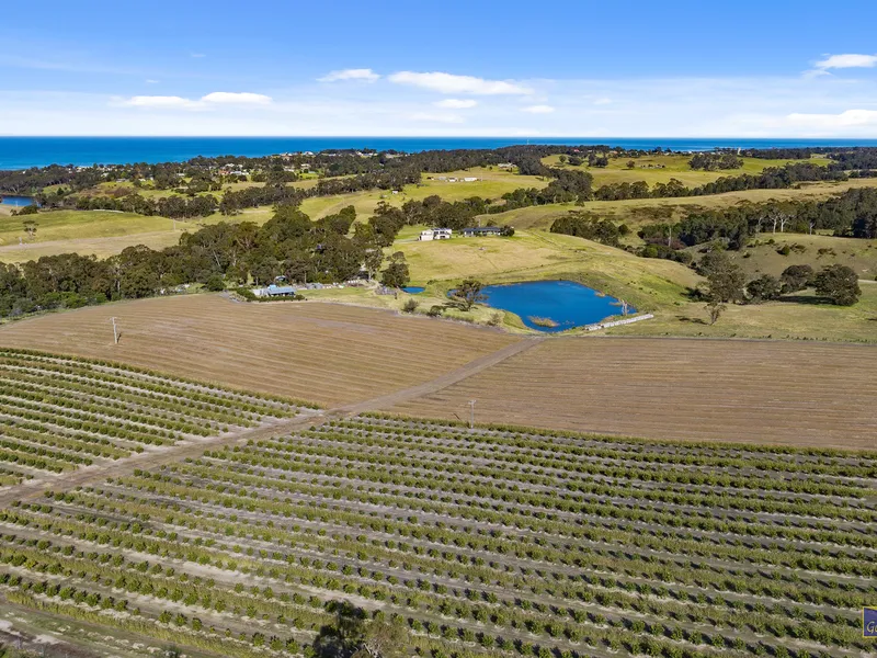 FOR SALE BY ESPRESSIONS OF INTEREST – 46.13 Hectares (116 Acres approx.)