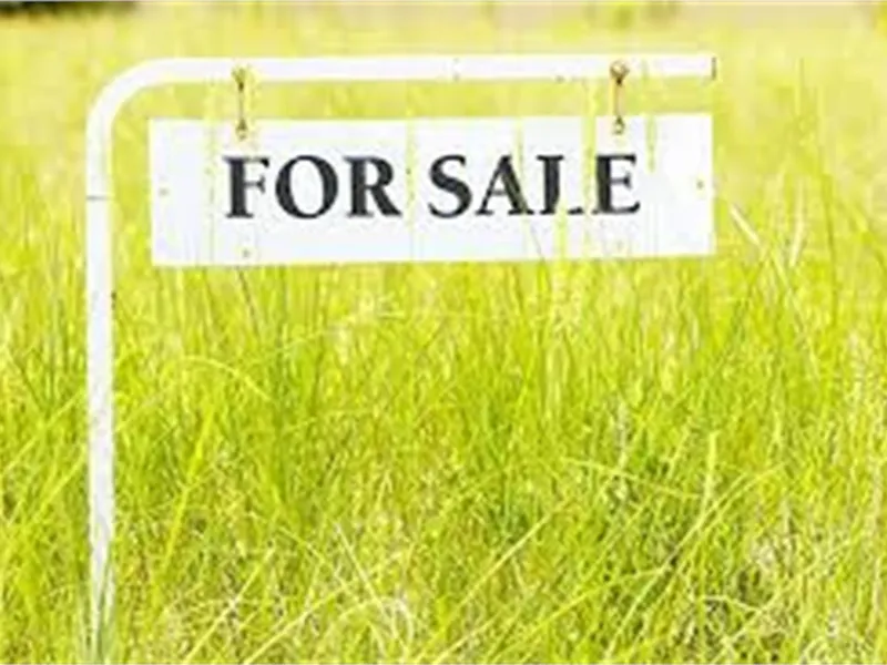 489m2 VACANT LAND OPPORTUNITY-  available to FHB - $40k- DREAM HOME in 14 weeks