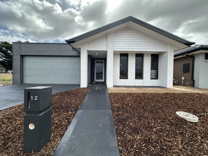 Central Dream in The Avenue