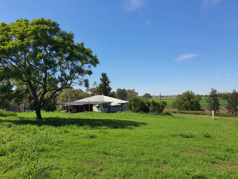 Magnificent Surroundings