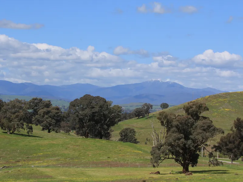 7.5 ACRES WITH BULLER VIEWS 2 MINUTES FROM TOWN