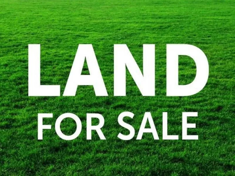 Build Your Dream Home!