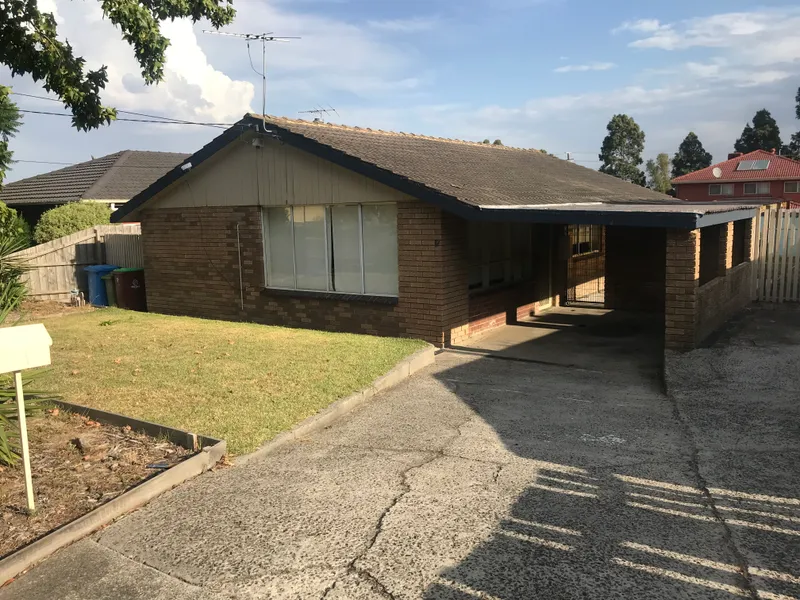 BRING YOUR DOG ALONG!