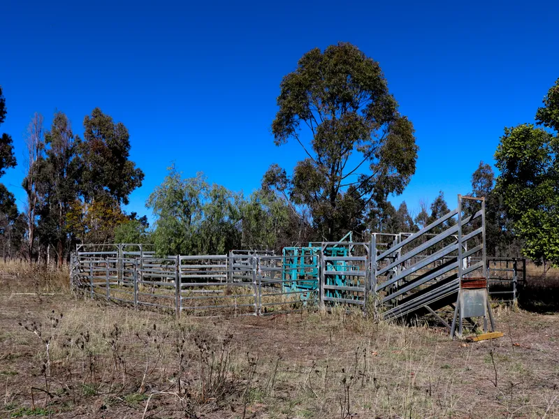 Dual Income - Hardwood Plantation & Grazing