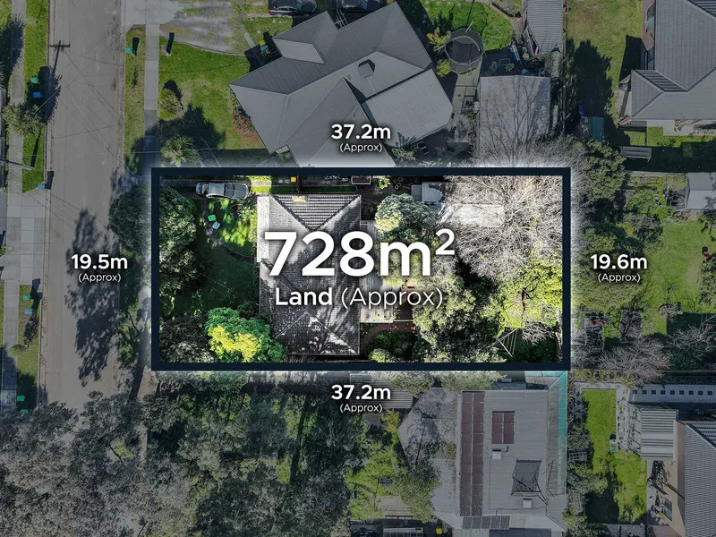 Endless Opportunities!